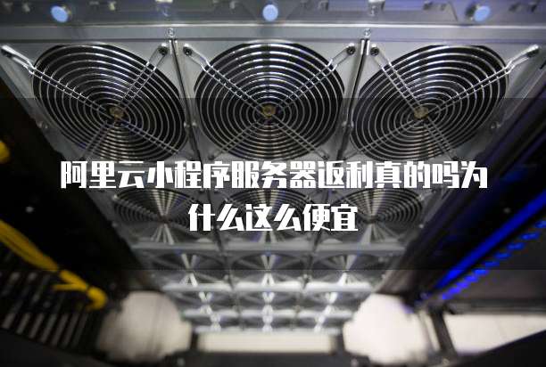 阿里云小程序服务器返利真的吗为什么这么便宜