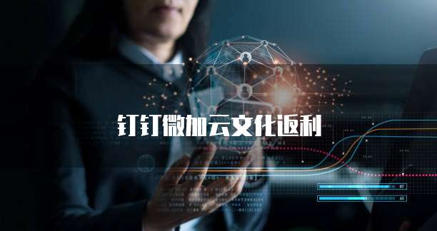 钉钉微加云文化返利