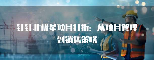 钉钉北极星项目打折:从项目管理到销售策略