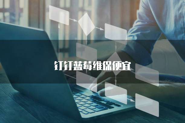 钉钉蓝莓维保便宜
