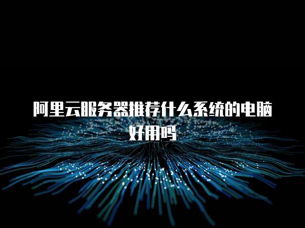 阿里云服务器推荐什么系统的电脑好用吗
