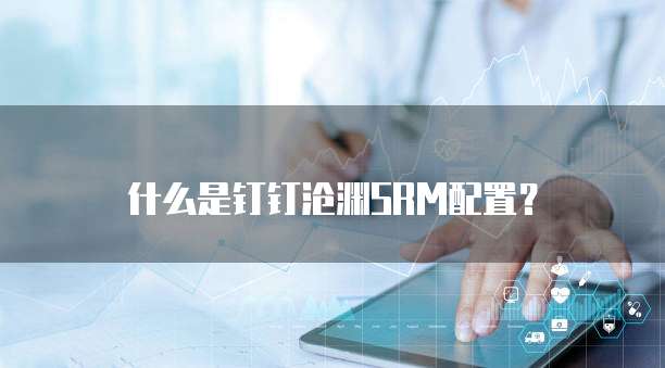 什么是钉钉沧渊SRM配置?
