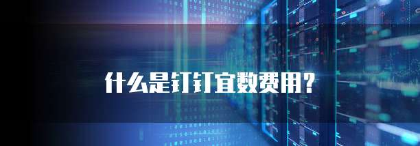 什么是钉钉宜数费用?