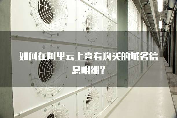 如何在阿里云上查看购买的域名信息明细？