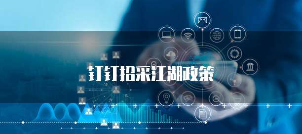 钉钉招采江湖政策