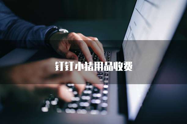 钉钉小猪用品收费