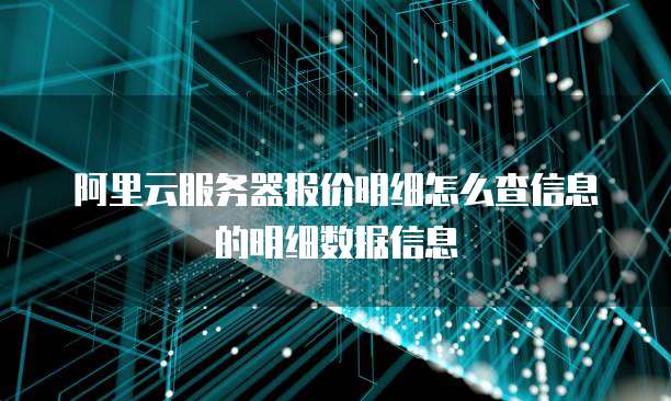 阿里云服务器报价明细怎么查信息的明细数据信息