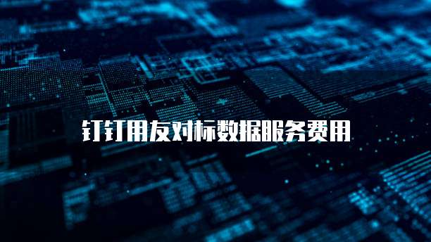 钉钉用友对标数据服务费用