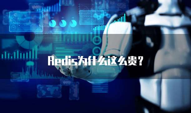 Redis为什么这么贵？