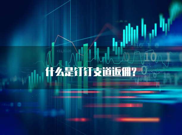 什么是钉钉支道返佣?