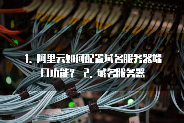 阿里云怎么配置私人域名服务器的端口功能吗