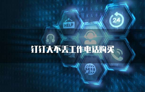 钉钉大不丢工作电话购买