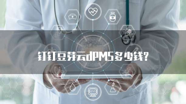 钉钉豆芽云dPMS多少钱?