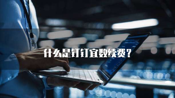 什么是钉钉宜数续费?