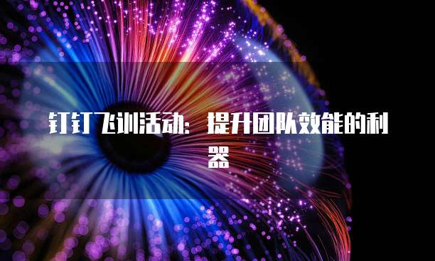 钉钉飞训活动:提升团队效能的利器