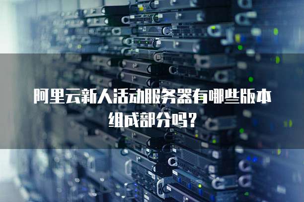 阿里云新人活动服务器有哪些版本组成部分吗?