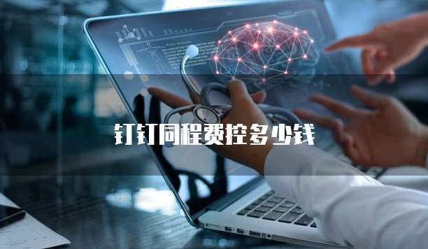 钉钉同程费控多少钱