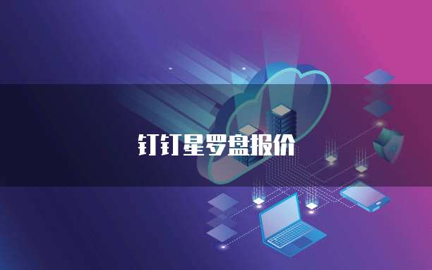 钉钉星罗盘报价