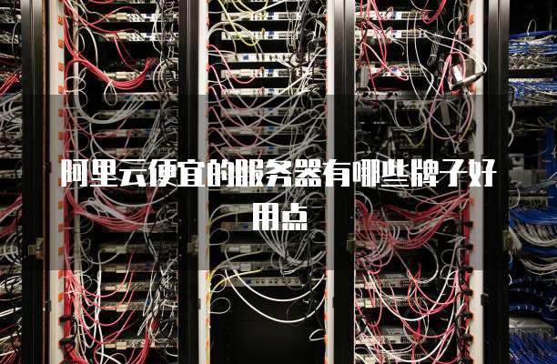 阿里云便宜的服务器有哪些牌子好用点