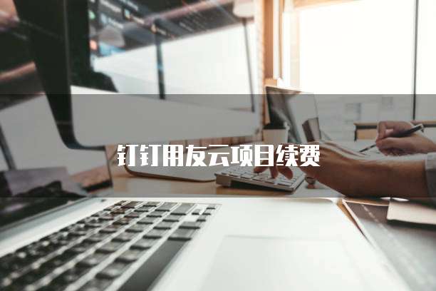 钉钉用友云项目续费