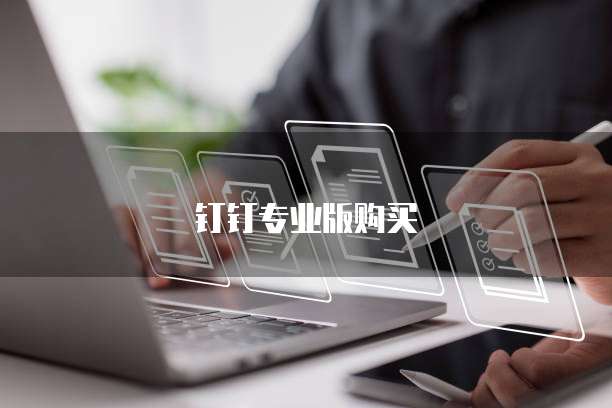钉钉专业版购买
