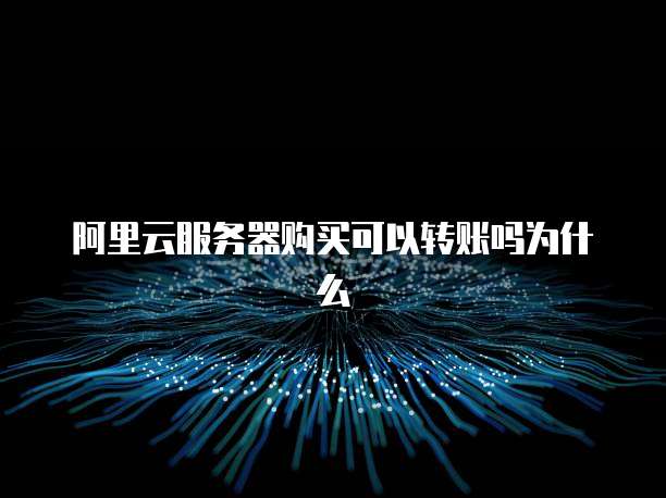 阿里云服务器购买可以转账吗为什么