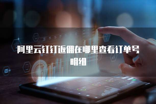 阿里云钉钉返佣在哪里查看订单号明细