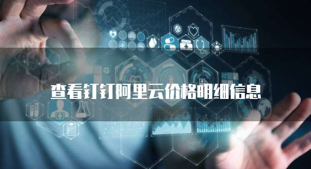 查看钉钉阿里云价格明细信息