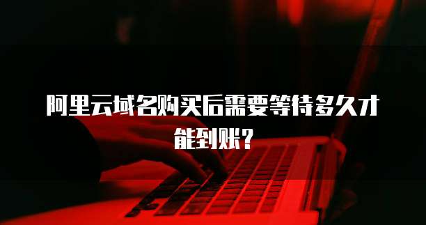 阿里云域名购买后需要等待多久才能到账?