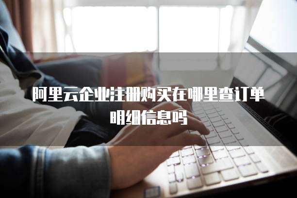 阿里云企业注册购买在哪里查订单明细信息吗