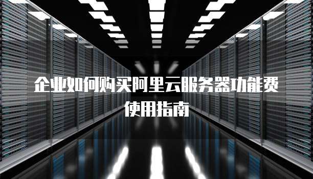企业如何购买阿里云服务器功能费使用指南