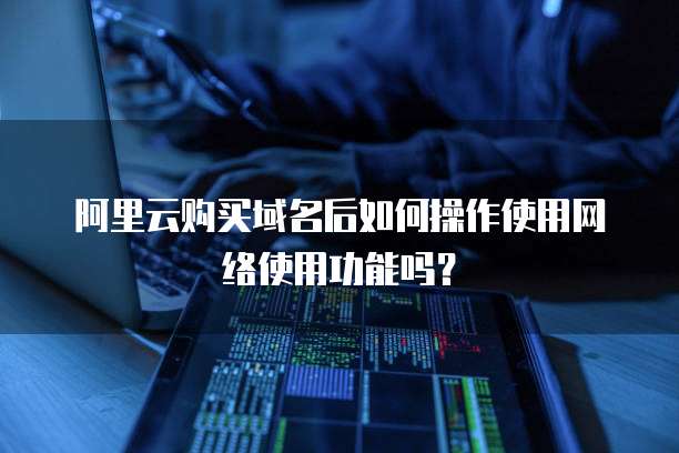 阿里云购买域名后如何操作使用网络使用功能吗?