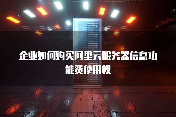企业如何购买阿里云服务器信息功能费使用权