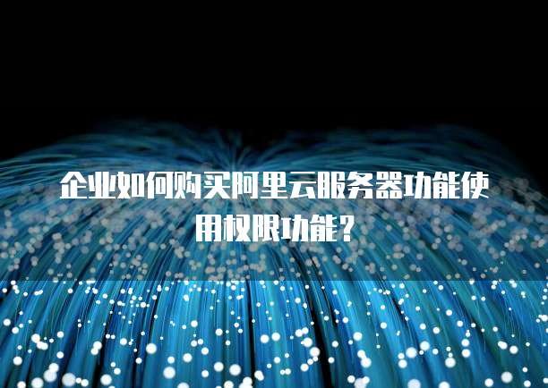 企业如何购买阿里云服务器功能使用权限功能?