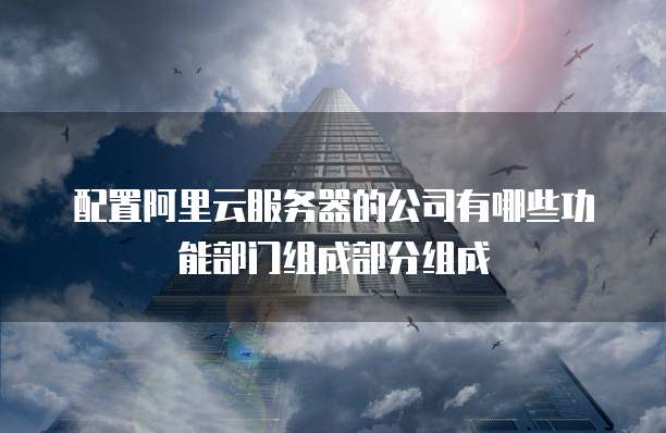 配置阿里云服务器的公司有哪些功能部门组成部分组成