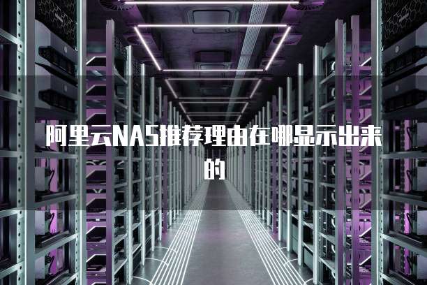 阿里云NAS推荐理由在哪显示出来的