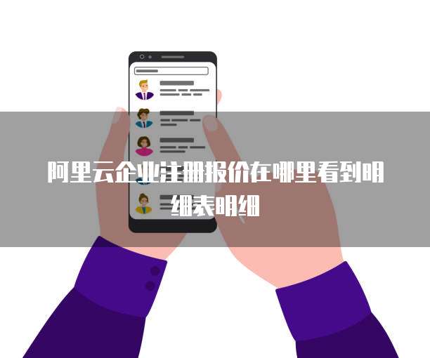 阿里云企业注册报价在哪里看到明细表明细