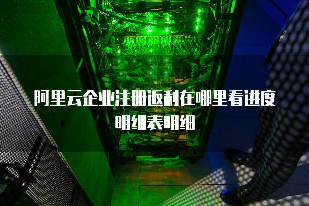 阿里云企业注册返利在哪里看进度明细表明细