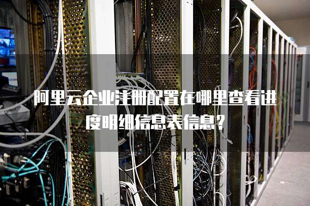阿里云企业注册配置在哪里查看进度明细信息表信息?