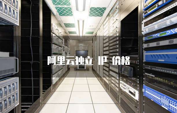 阿里云独立 IP 价格