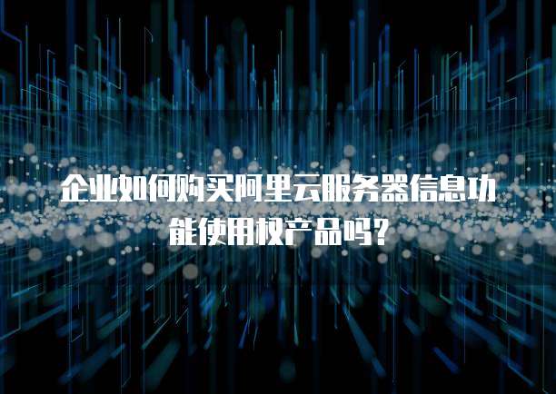 企业如何购买阿里云服务器信息功能使用权产品吗?