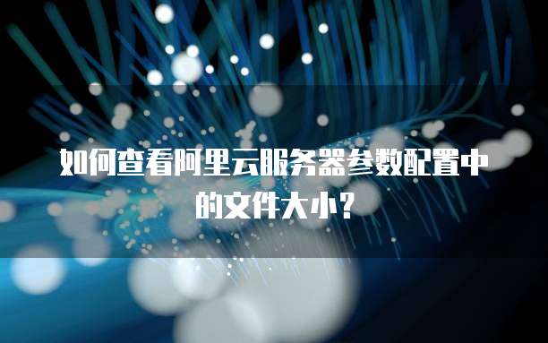 如何查看阿里云服务器参数配置中的文件大小?