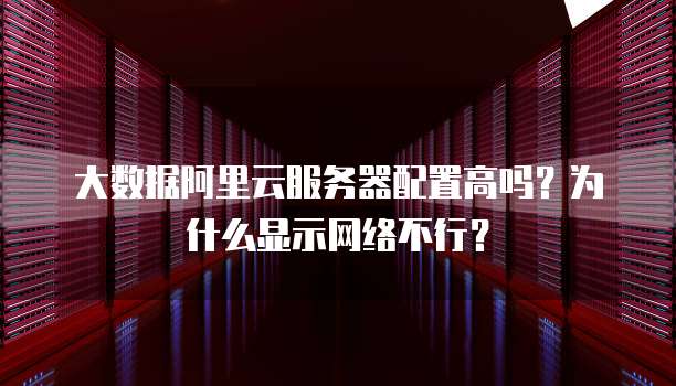 大数据阿里云服务器配置高吗?为什么显示网络不行?
