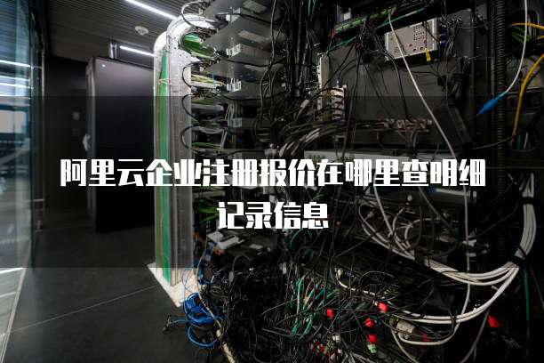 阿里云企业注册报价在哪里查明细记录信息