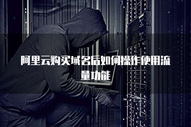 阿里云购买域名后如何操作使用流量功能