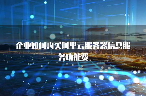 企业如何购买阿里云服务器信息服务功能费