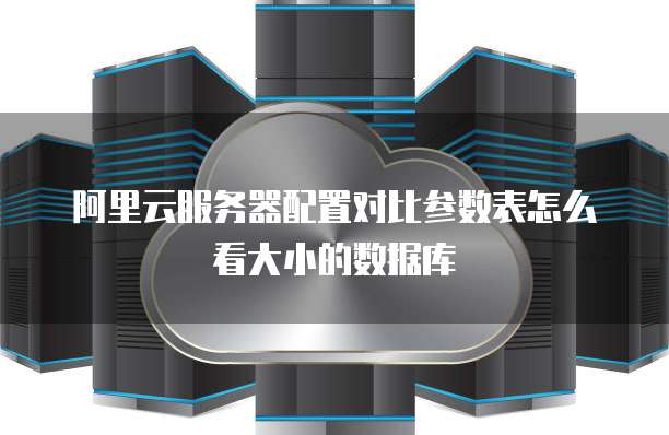 阿里云服务器配置对比参数表怎么看大小的数据库