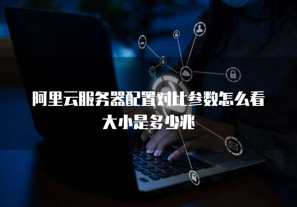 阿里云服务器配置对比参数怎么看大小是多少兆