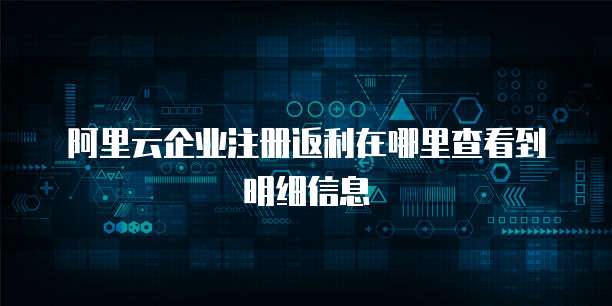 阿里云企业注册返利在哪里查看到明细信息