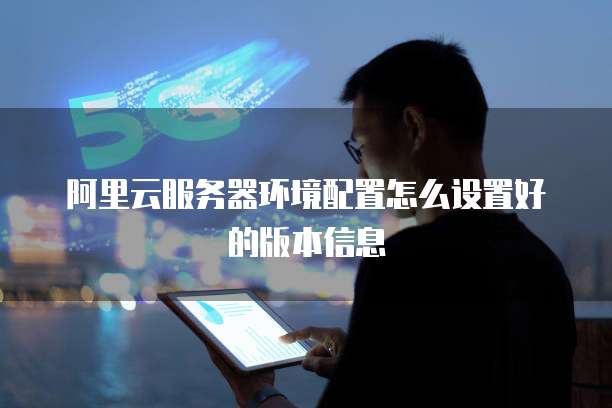 阿里云服务器环境配置怎么设置好的版本信息